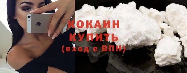 apvp Козельск