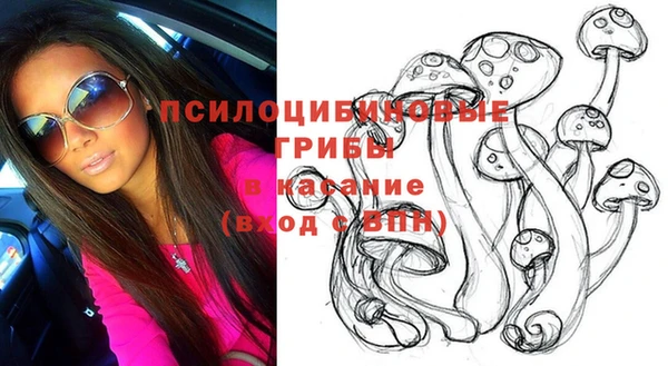 гашик Киренск