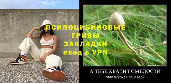 гашик Киренск